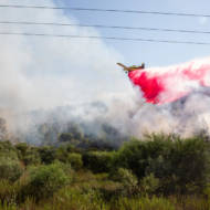 Fire in Jerusalem Region