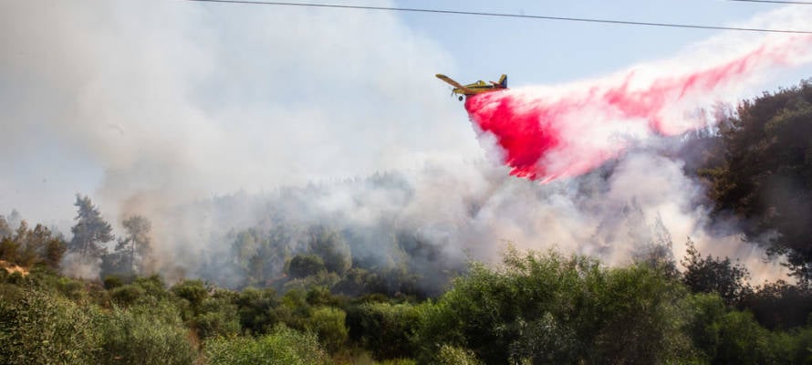 Fire in Jerusalem Region