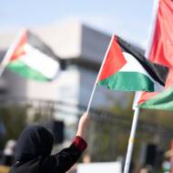 Palestine flags