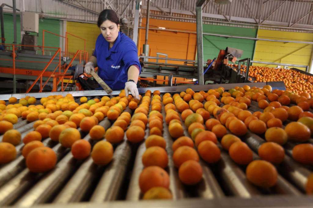 Israeli oranges