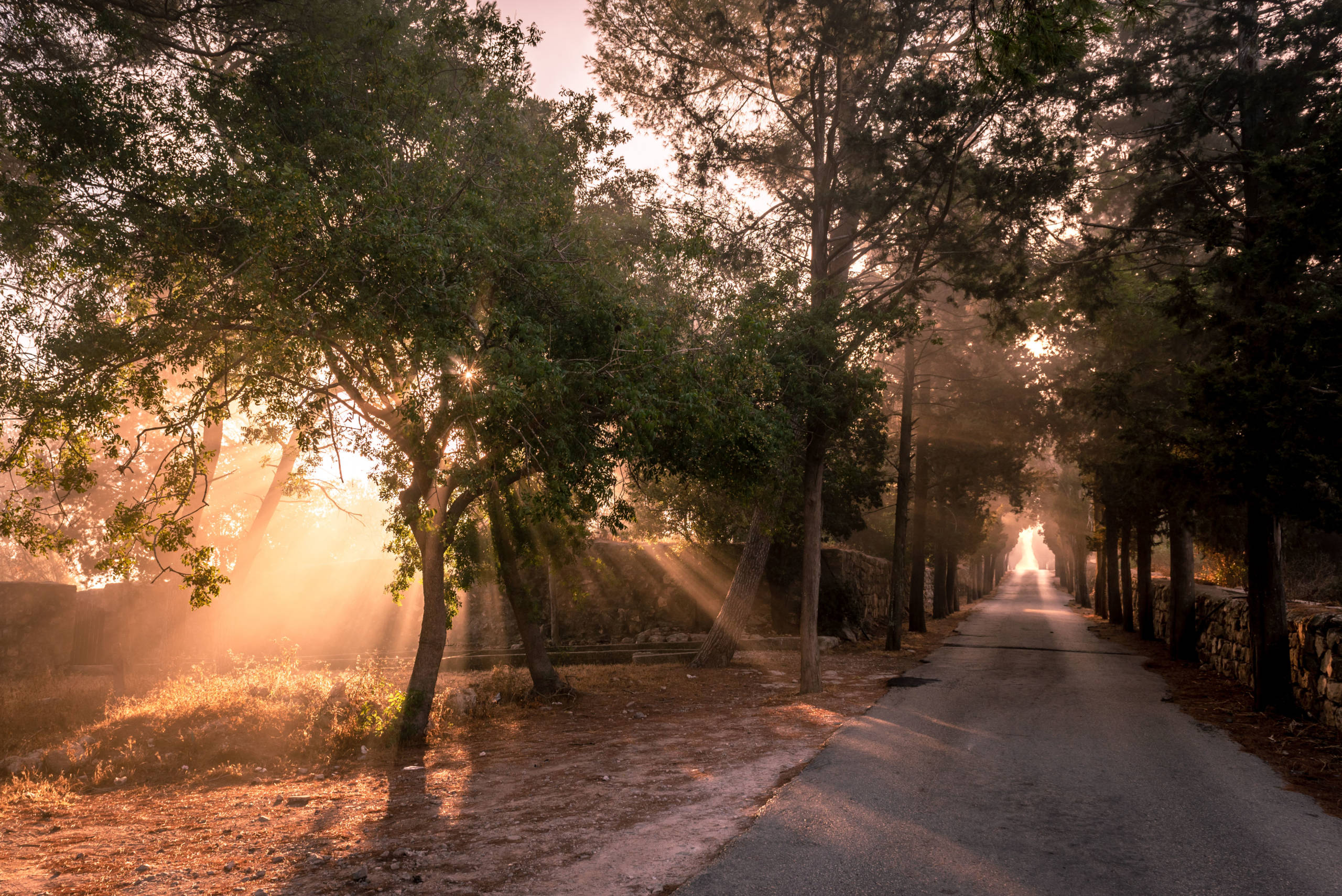 OFF THE BEATEN TRACK: Majestic Mount Tabor | United with Israel - Vimarsana News