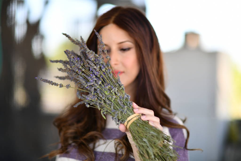 lavender in the Golan Heights