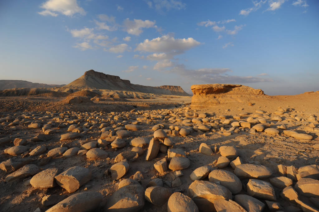 .Zin Valley, in the Negev Desert