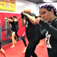 Jews in NY in self-defense training