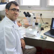 Prof. Shai Rahimipour in his lab