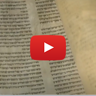 Torah scroll that survived the Holocaust in Europe