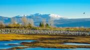 Hula Valley