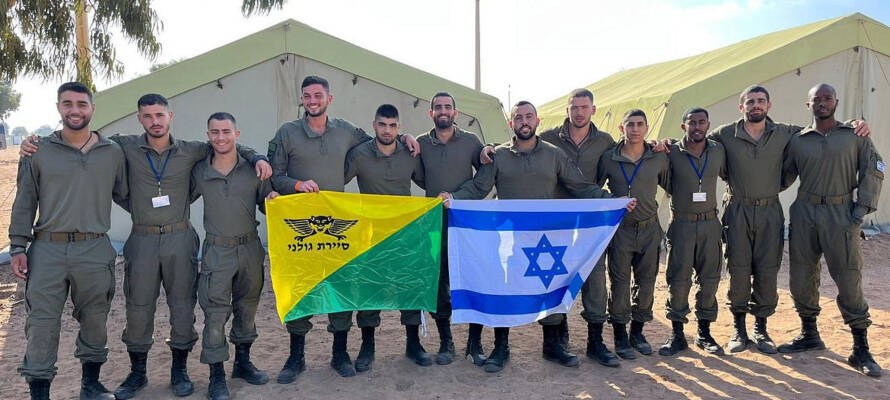 IDF delegation to 'African Lion'