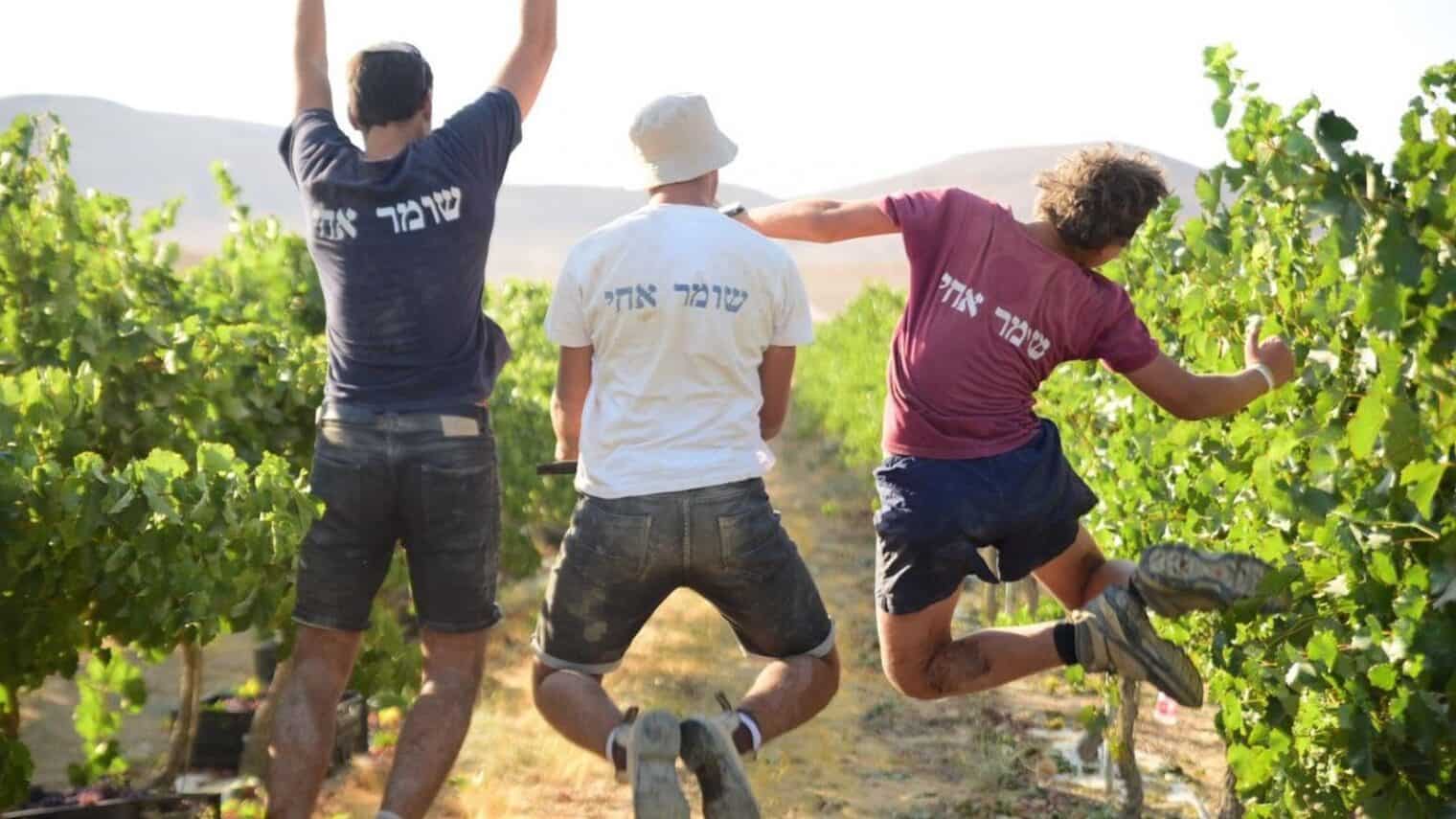 US Jewish Organizations Raise $800 Million for Israel - Vimarsana News