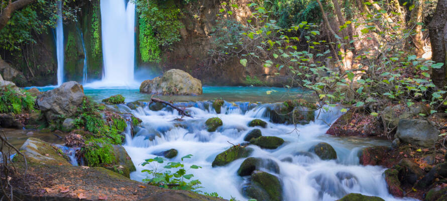 Nahal,Hermon,Nature,Reserve,(banias),-,The,Largest,,Most,Powerful