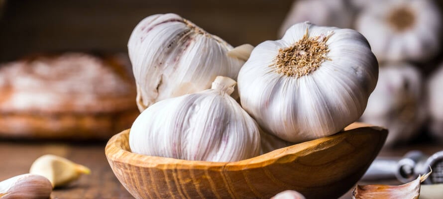 garlic