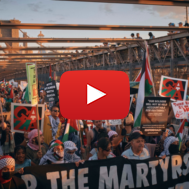 Pro-Palestinian protest, New York