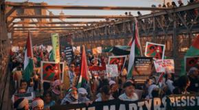 Pro-Palestinian protest, New York