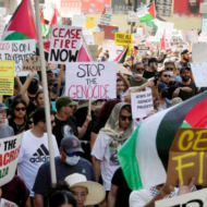 pro-palestinian rally