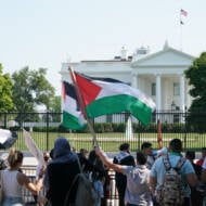 white house Palestinian protest flag