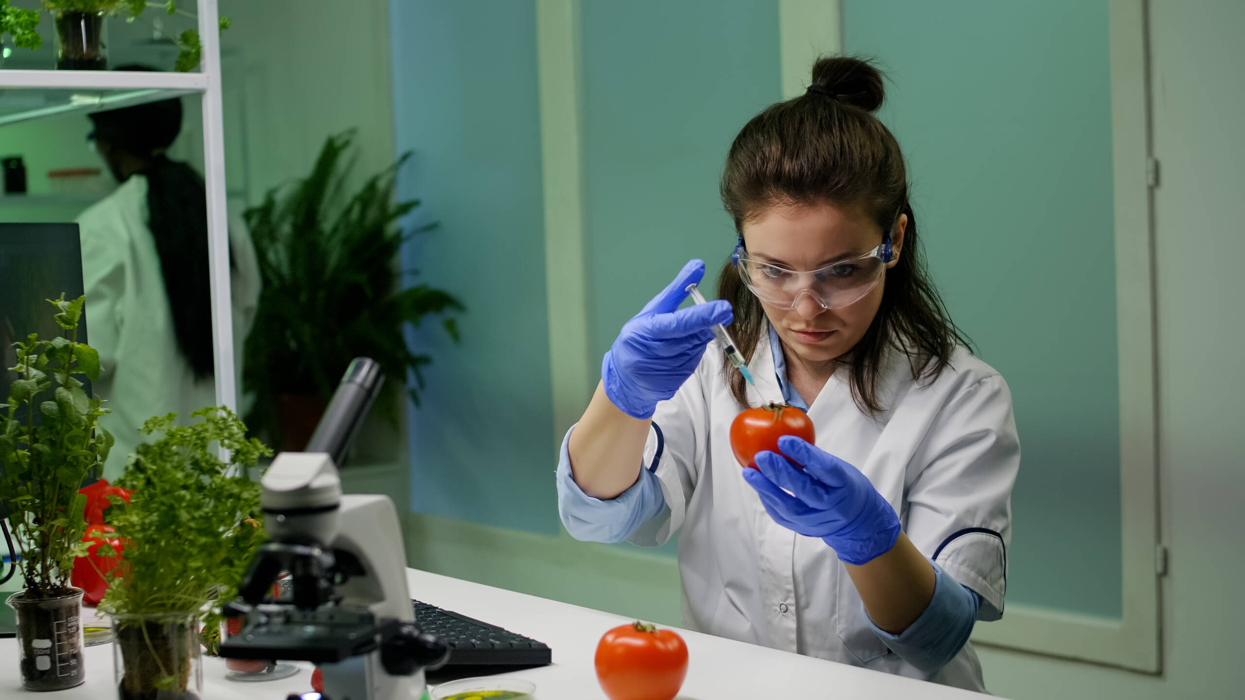 Israeli Innovation: Researchers Cut Water Intake for Crops Without Yield Compromise - Vimarsana News