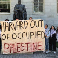Harvard antisemtism