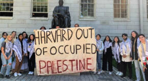 Harvard antisemtism
