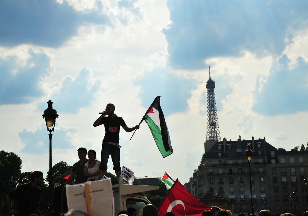 Pro-Palestinian demonstration france