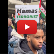 Anti-Hamas protestor