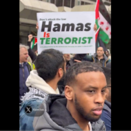 Anti-Hamas protestor