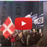 Pro Israel rally in Denmark