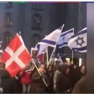 Pro Israel rally in Denmark