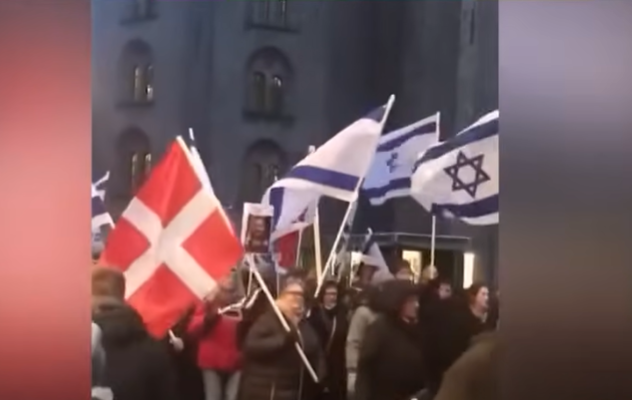 Pro Israel rally in Denmark