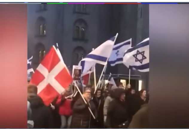 Pro Israel rally in Denmark