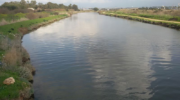 Kishon River