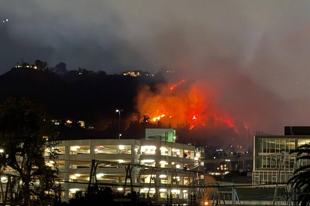 View of the Los Angeles wildfires from a rooftop in West Hollywood