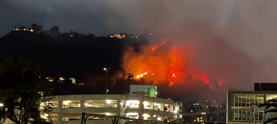 View of the Los Angeles wildfires from a rooftop in West Hollywood