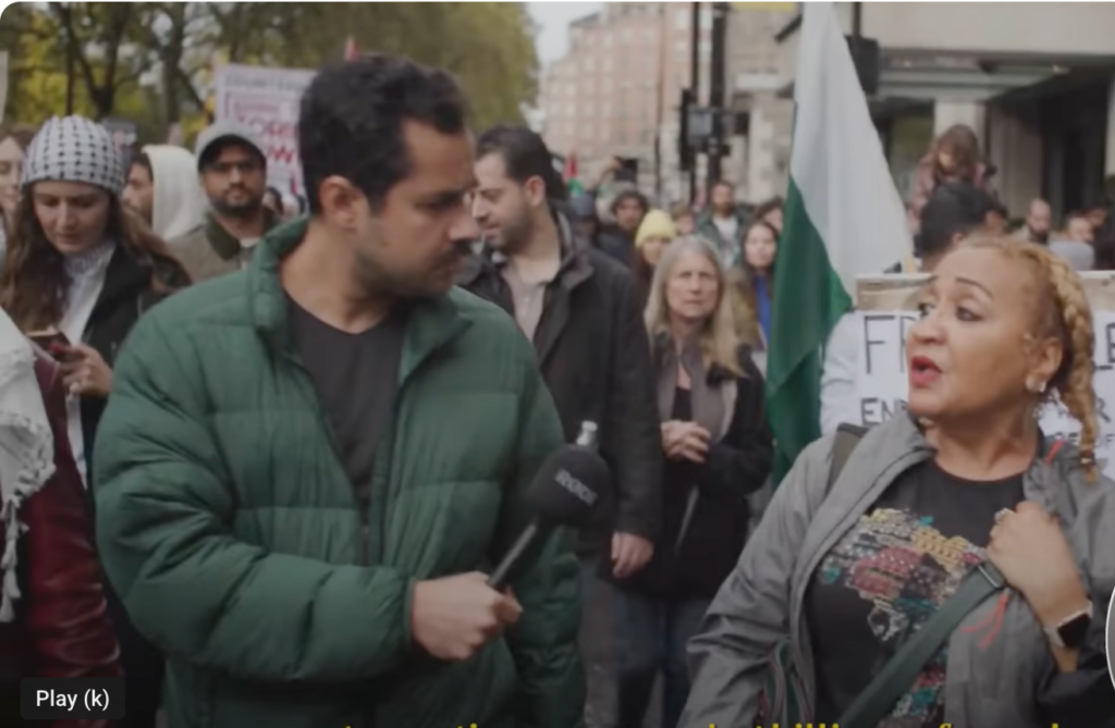 Anti-Israel protester