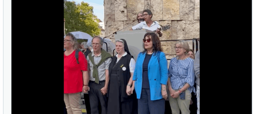 Pro-Israel demonstrators