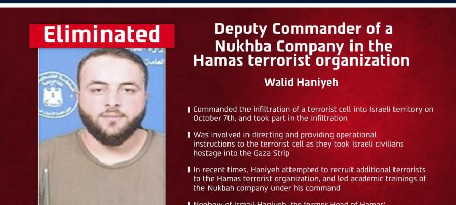 Walid Haniyeh