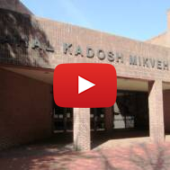 Kahal Kadosh Mikveh Israel