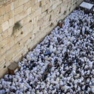 Priestly Blessing
