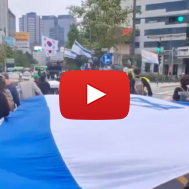 South Koreans