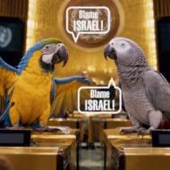 parrots UN