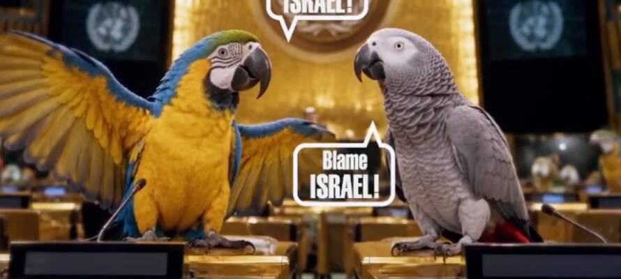 parrots UN