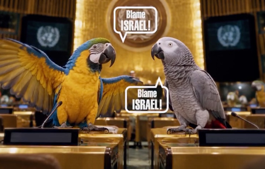 parrots UN