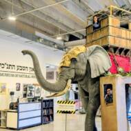 Biblical Museum of Natural History