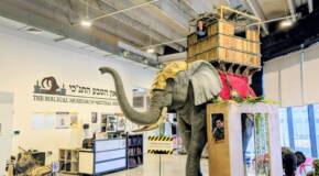 Biblical Museum of Natural History