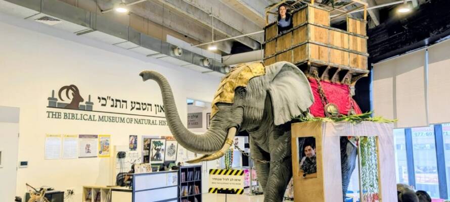 Biblical Museum of Natural History