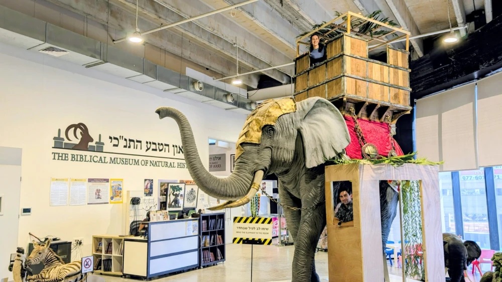 Biblical Museum of Natural History