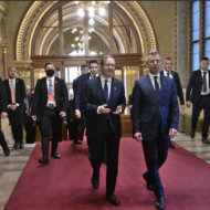 Herzog and Magyar
