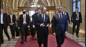 Herzog and Magyar