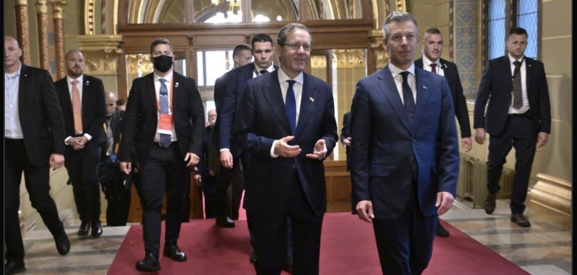Herzog and Magyar